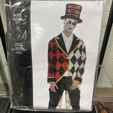 New circus clown - court, jester