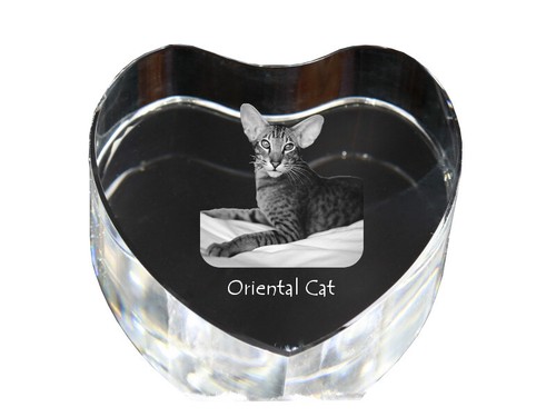Gatto orientale cuore - , di
