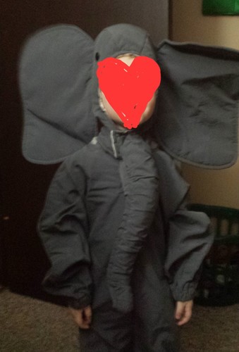 Costume elefante fatto in - fatto,