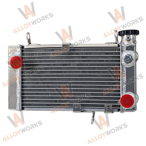 Aluminium racing radiateur - aluminium,