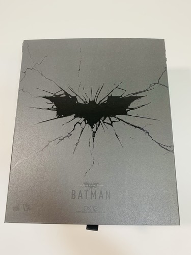 Nuovo hot toys - the, dark