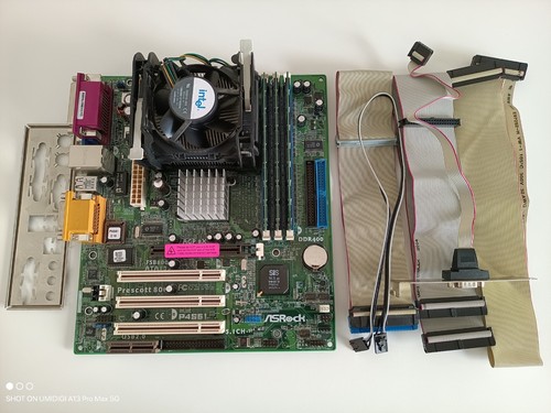 Combo scheda madre asrock - scheda,