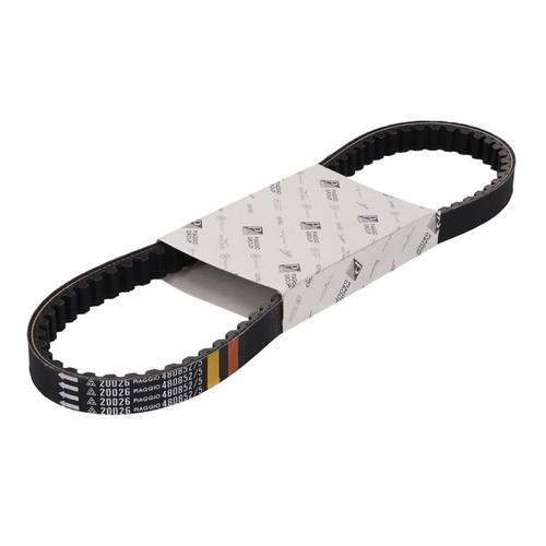Cinghia trasmissione variatore - cinghia,