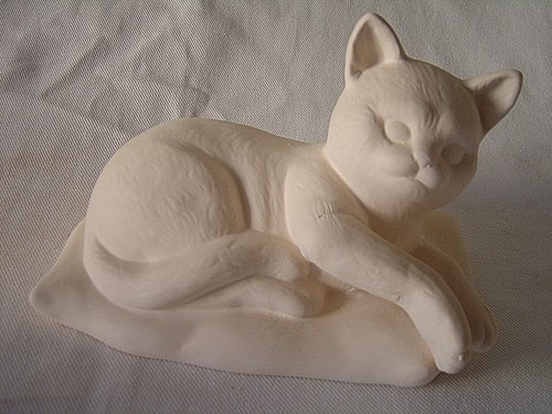 Gatto gattino - 01,