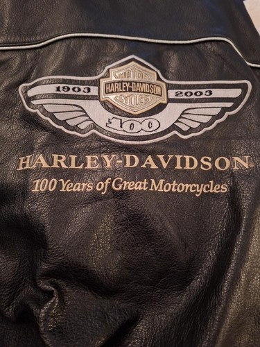 Harley davidson 100 - harley, year