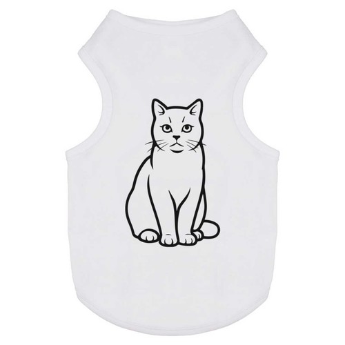 Alert british shorthair - 'alert,