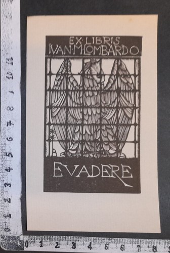 Wunderkammer exlibris 365 - wunderkammer,
