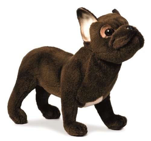 Canal hansa bulldog francese - canal,