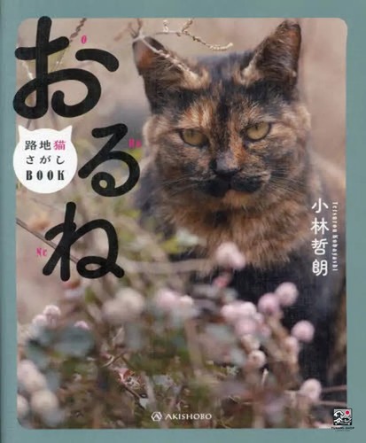 Orune alley cat - search, book