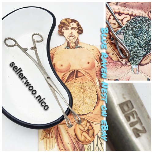 Pinza strumento medico