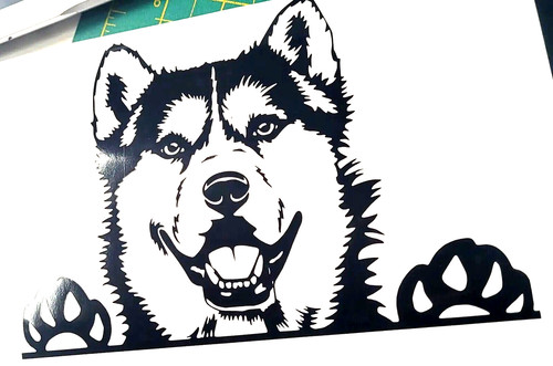 Adesivo husky wolf cane - wolf,