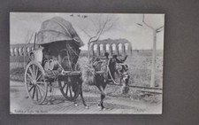 Cartoline Roma Via Appia Contadini Calesse Botti Carro Campagna Romana 1900