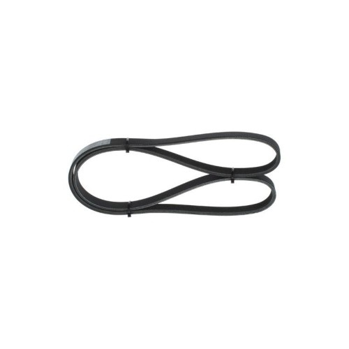 Cinghia poly bosch - cinghia,