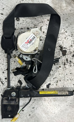 Cintura sicurezza anteriore - cintura,