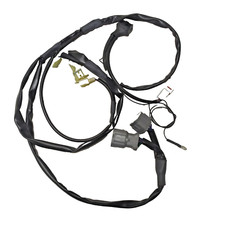 Rapid bike control unit - rapid, wiring
