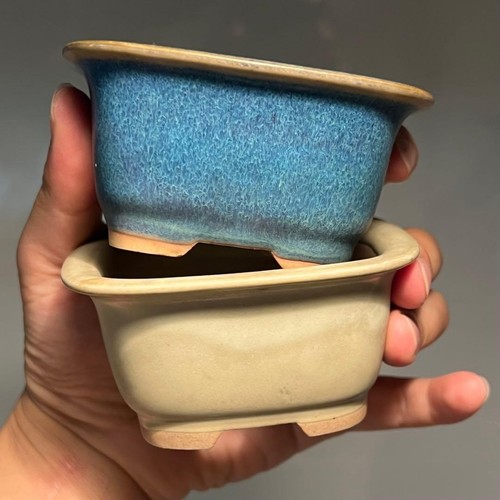 Vaso per bonsai giapponese