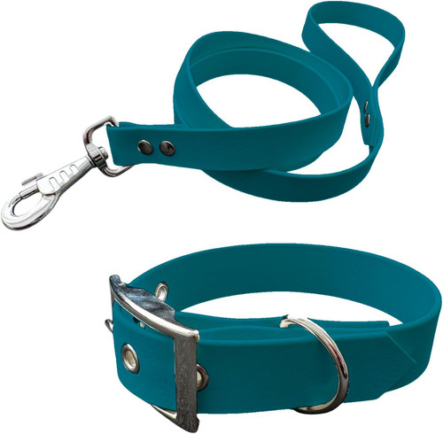 Collare guinzaglio per cani - collare,
