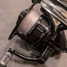 Mulinello da Spinning Daiwa MORETHAN Branzino 3000 Attrezzatura da Pesca Jigging Leggero Usato