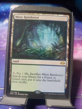 Misty Rainforest [Modern
