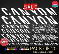 Canyon Vinile Decalcomania