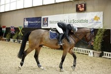 attrezzatura varia equitazione