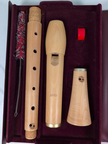 Flauto custodia registratore - flauto,