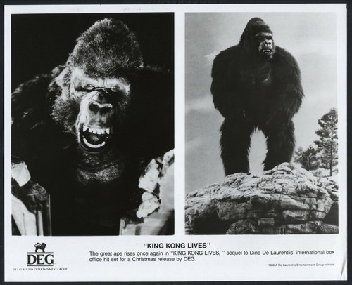 King kong lives - lives, giant