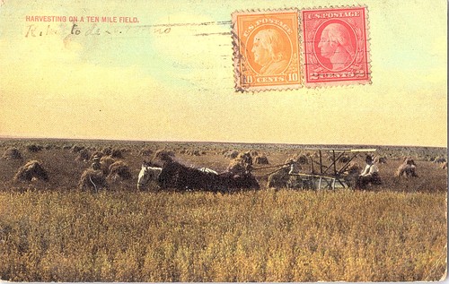 Cartolina epoca 1915 antica - d'epoca,