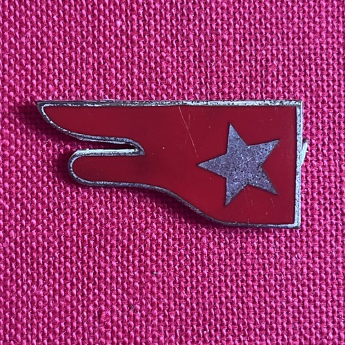 357 mostrina fregio esercito - 357,