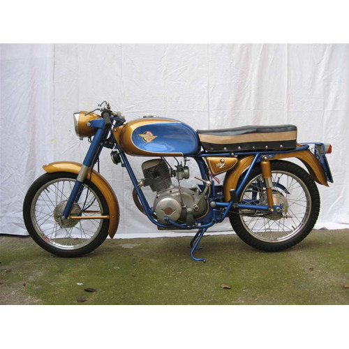 Coprisella ducati - coprisella,