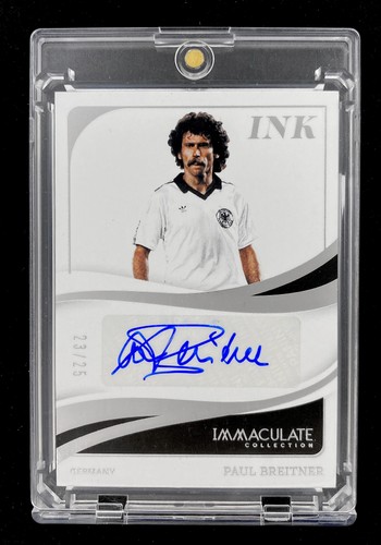 Panini 2024 immacolata - panini,