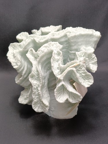 Decorazione scultura coral - scultura,