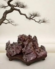#2.bonsai di Suiseki cinese