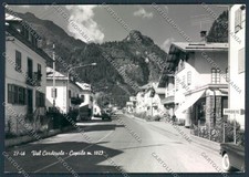 Belluno caprile foto - caprile,