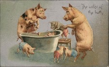 DRESSED ANIMAL FANTASY Pig