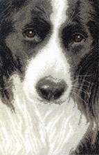 Diy Needlepoint Cross Stitch "Border Collie" Embroidery Kit Unprinted Сanvas