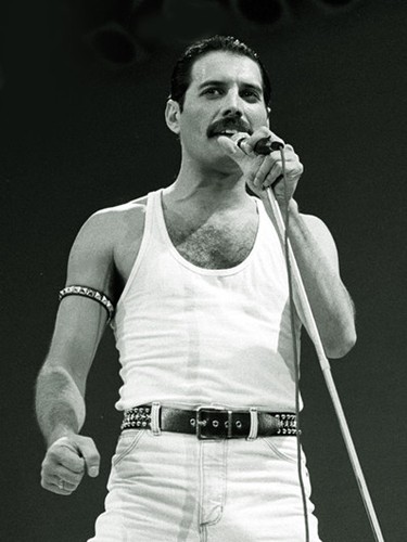 Queen freddie mercury - -,
