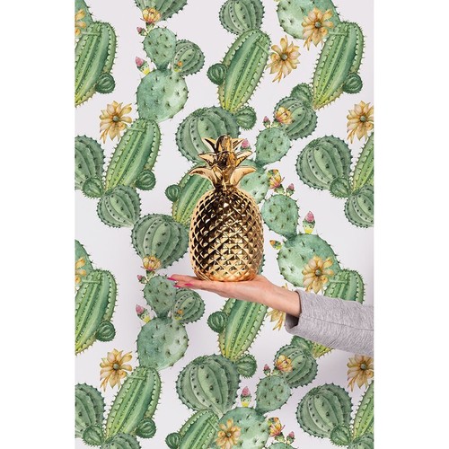 Fotomurale cactus con fiori - fotomurale,