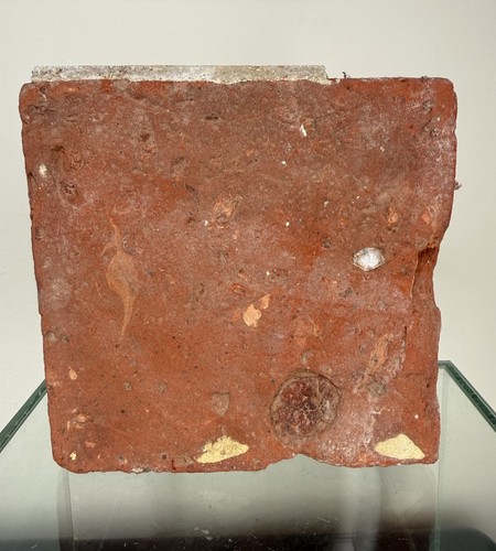 Piastrella pavimento - piastrella,