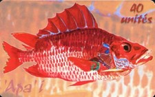 French polynesia opt chip - opt,