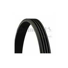 CONTITECH 4 PK 908 Cinghie a