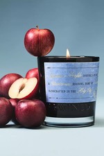 NEW Anthropologie Rewined