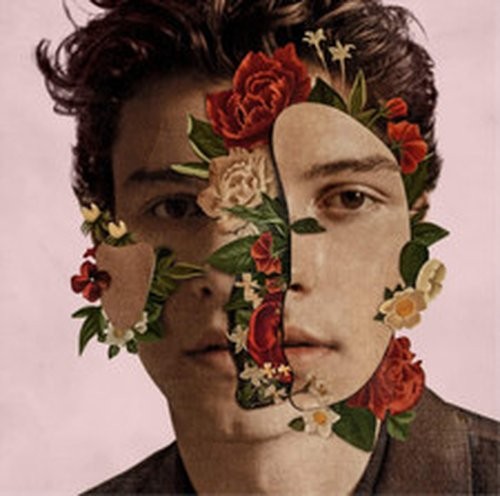 Shawn mendes - shawn,