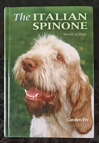 The italian spinone - ⭐,