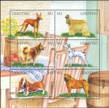 Lesotho 1999 Dalmata Shar-pei Spitz cani segugio afgano Cirneco animali domestici MNH