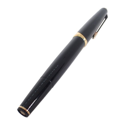 Penna stilografica waterman - stilografica,
