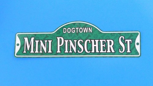 Dogtown mini pinscher - st, ~