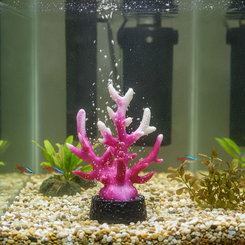 Decorazione per acquario - decorazione,