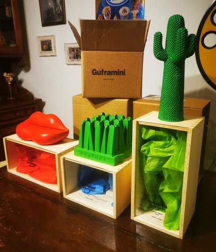 Set guframini new - 3, cactus
