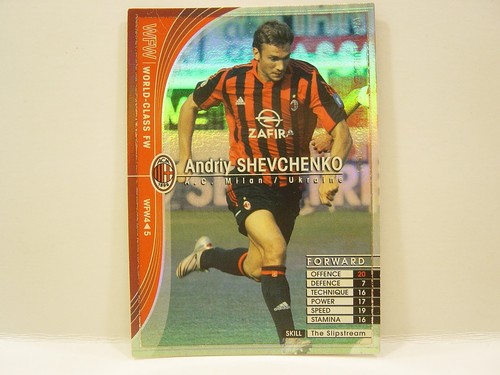 Panini wccf 2005 wfw - wfw, andriy